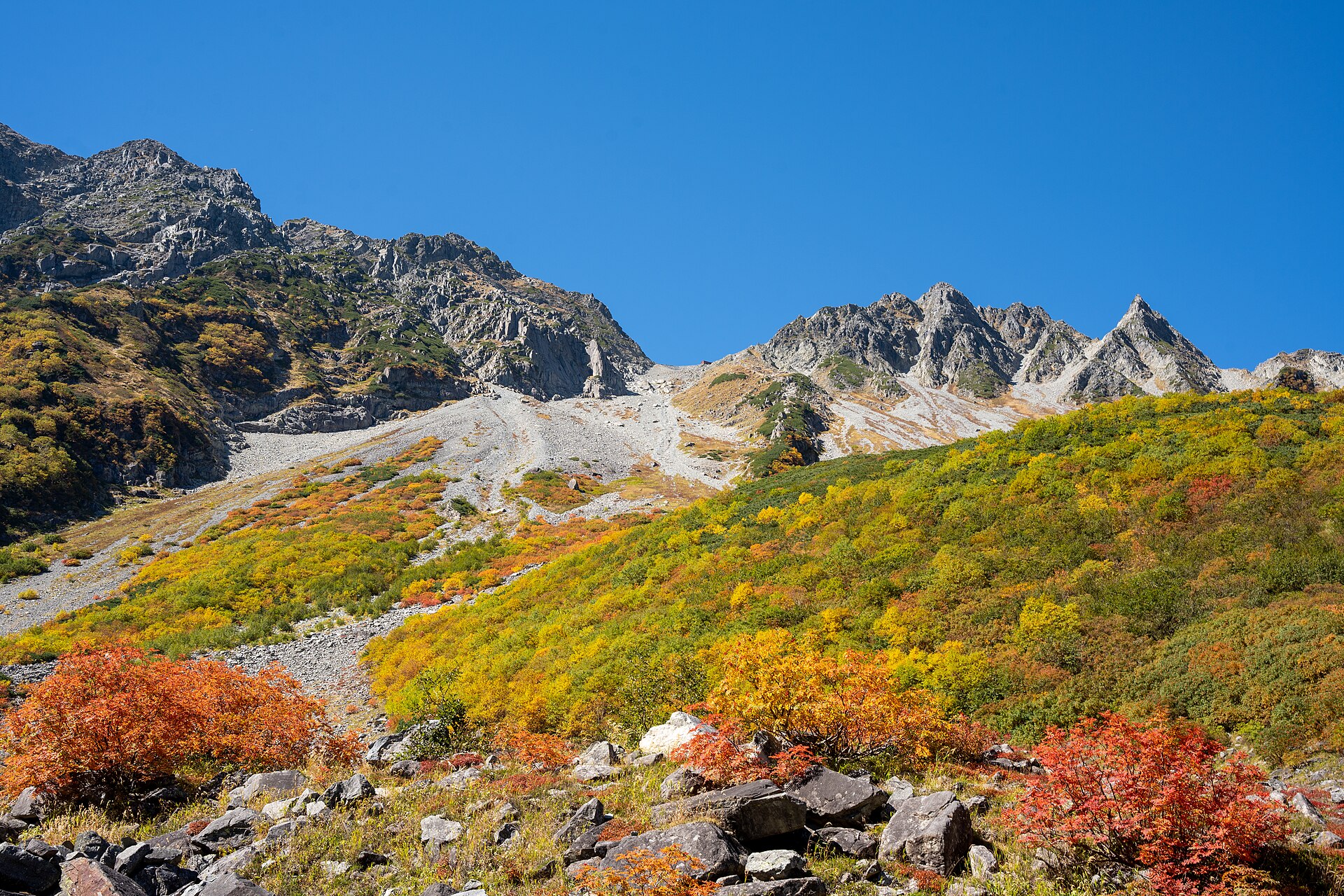 涸沢カールの紅葉と穂高連峰