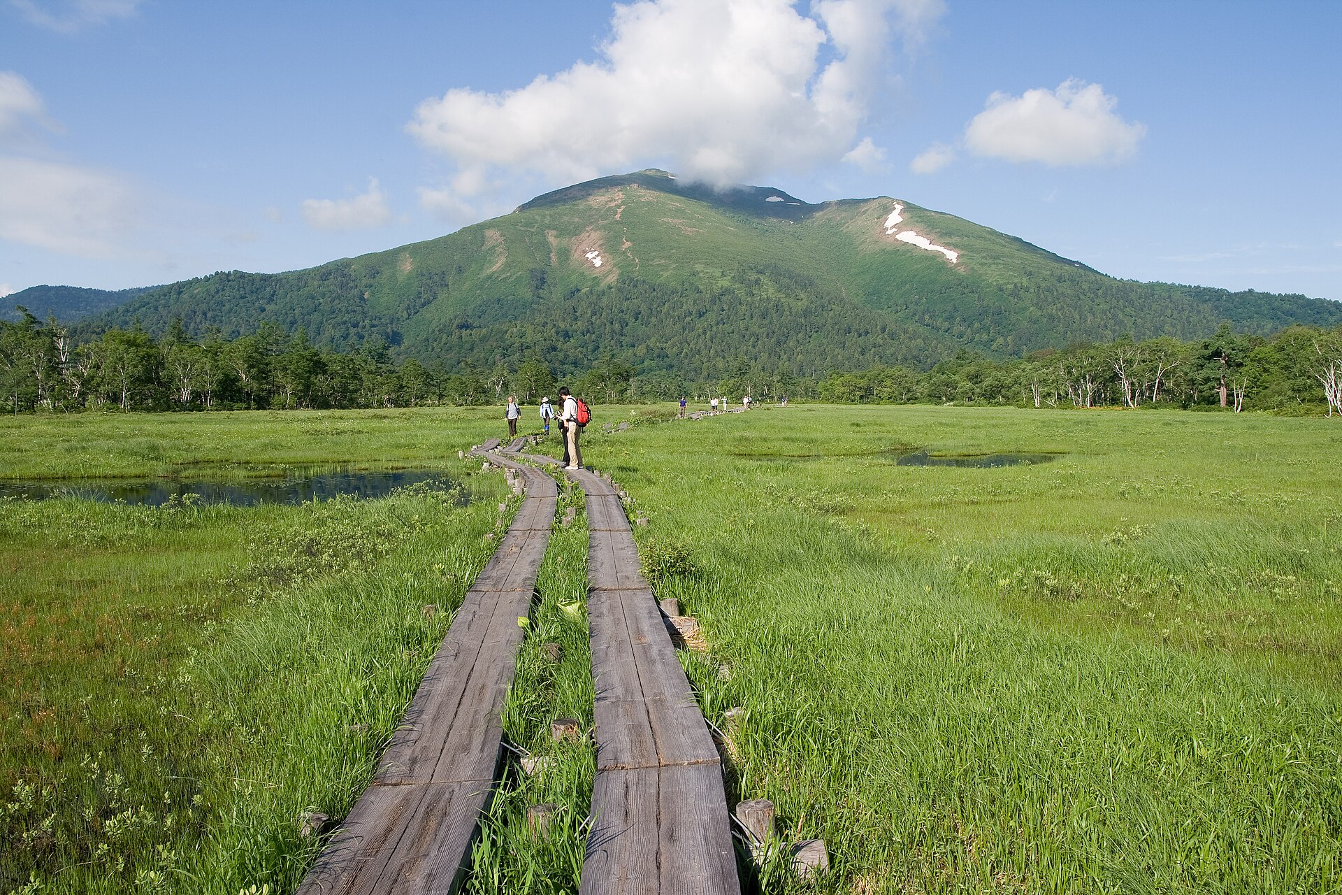 尾瀬ヶ原の木道と至仏山(初夏)